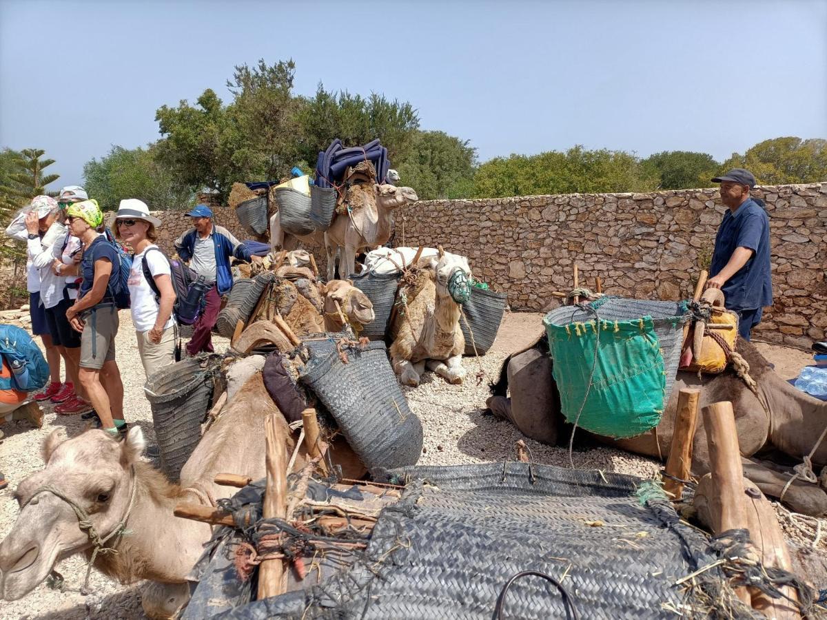Dar Albatros Sidi Kaouki Exterior foto