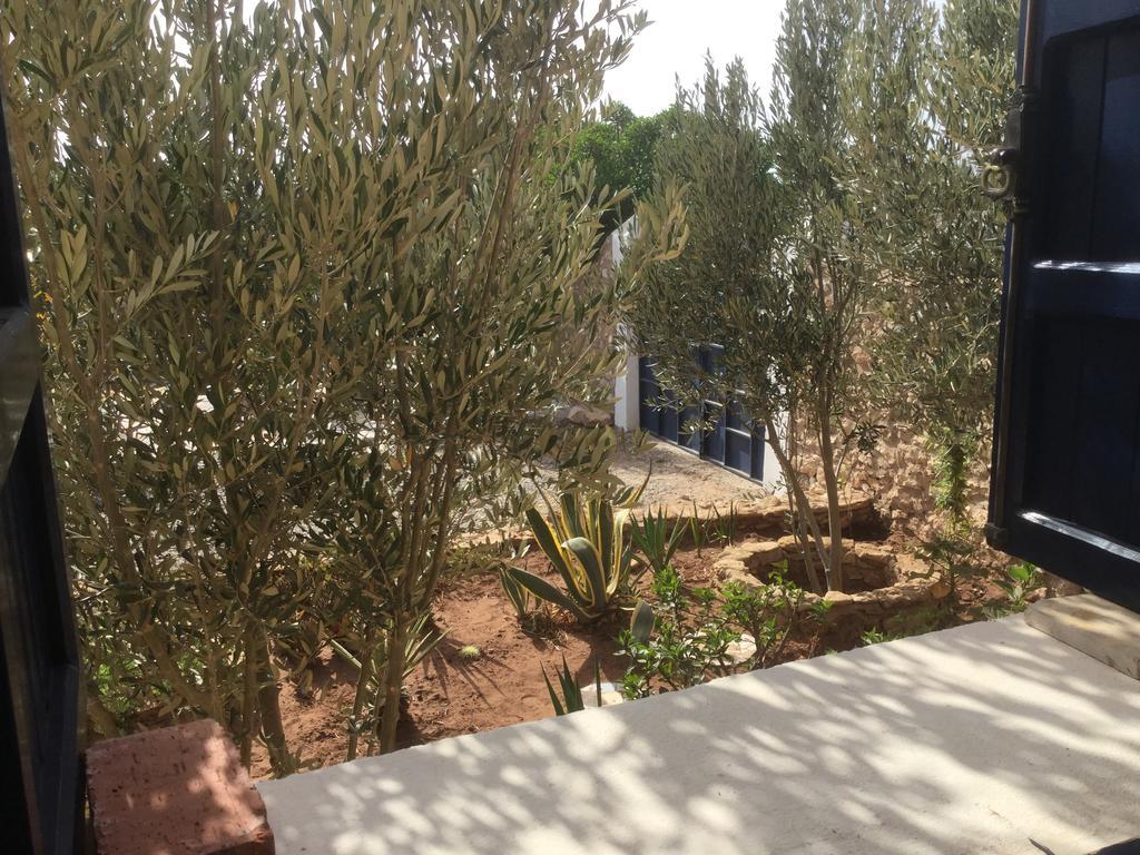 Dar Albatros Sidi Kaouki Exterior foto